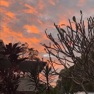 Meet your Posher, Jade